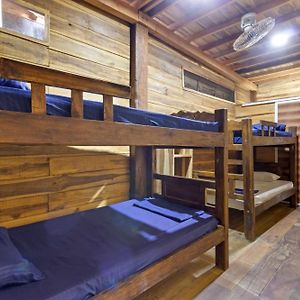Single Bed Mixed Dormitory Room